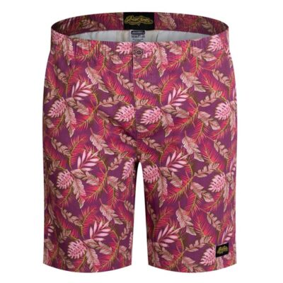 Townie Shorts Darwin Shorts L