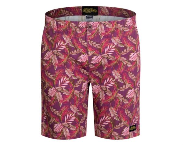Townie Shorts Darwin Shorts L