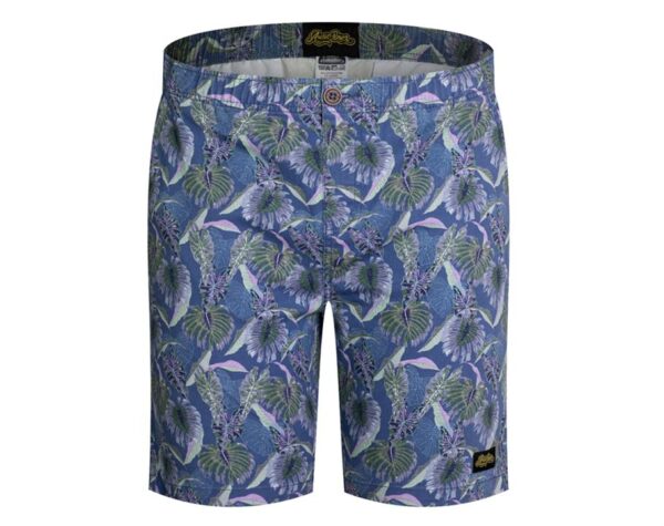 Townie Shorts Hawthorne Shorts S