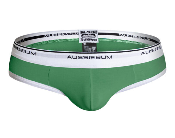 BASELINE Forest Brief S