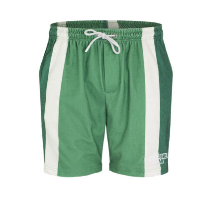 Shaggy Green Shorts L