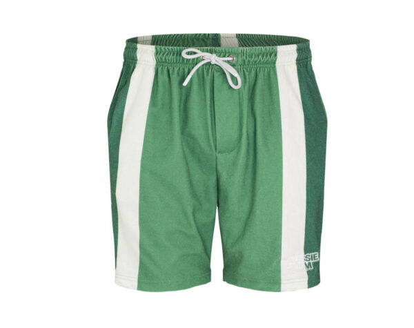 Shaggy Green Shorts XL