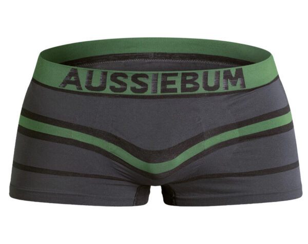 Bodystretch Hide Hipster L